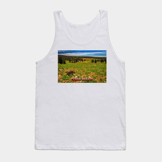 Cedar Breaks National Monument Tank Top by Gestalt Imagery